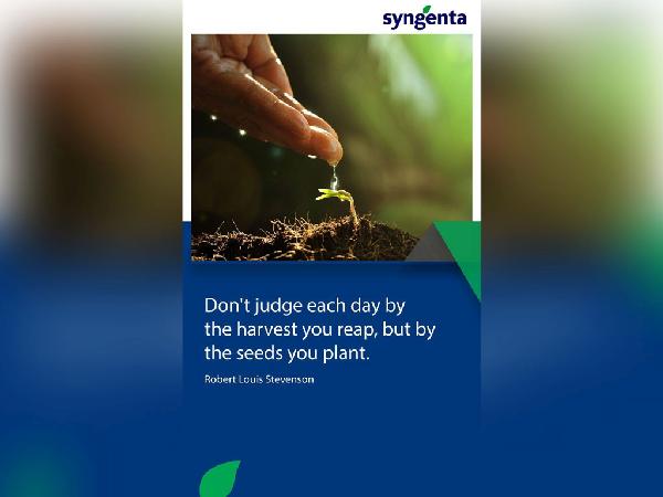 Syngenta Internal Branding 1 - Faraz Akbar
