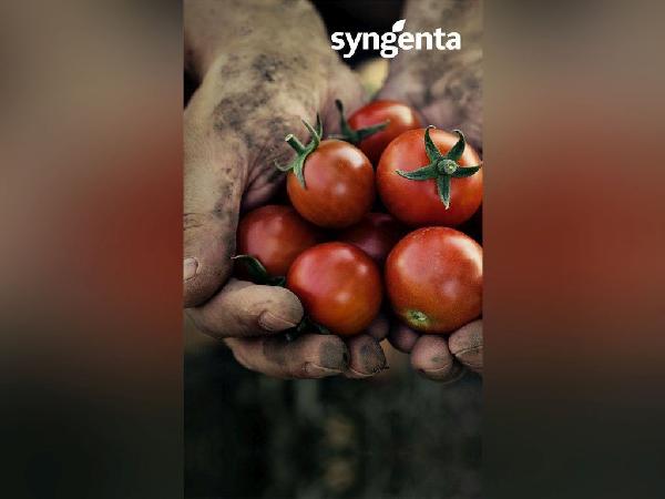 Syngenta Internal Branding 36X60 2 - Faraz Akbar