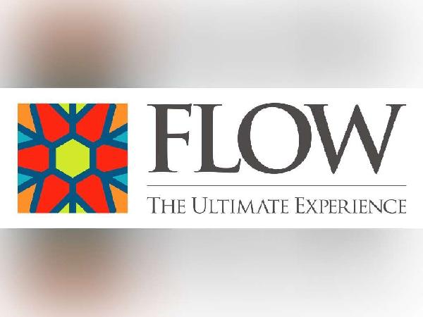 Flow Logo