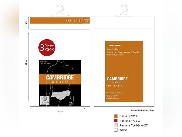 Mini Brief Packaging - Faraz Akbar